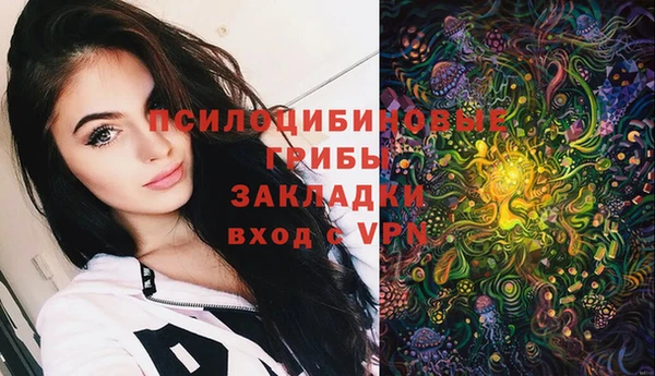 PSILOCYBIN Кулебаки