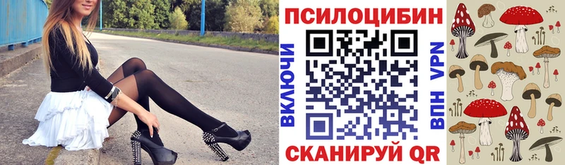 Галлюциногенные грибы Psilocybe  Купить где  Уфа 